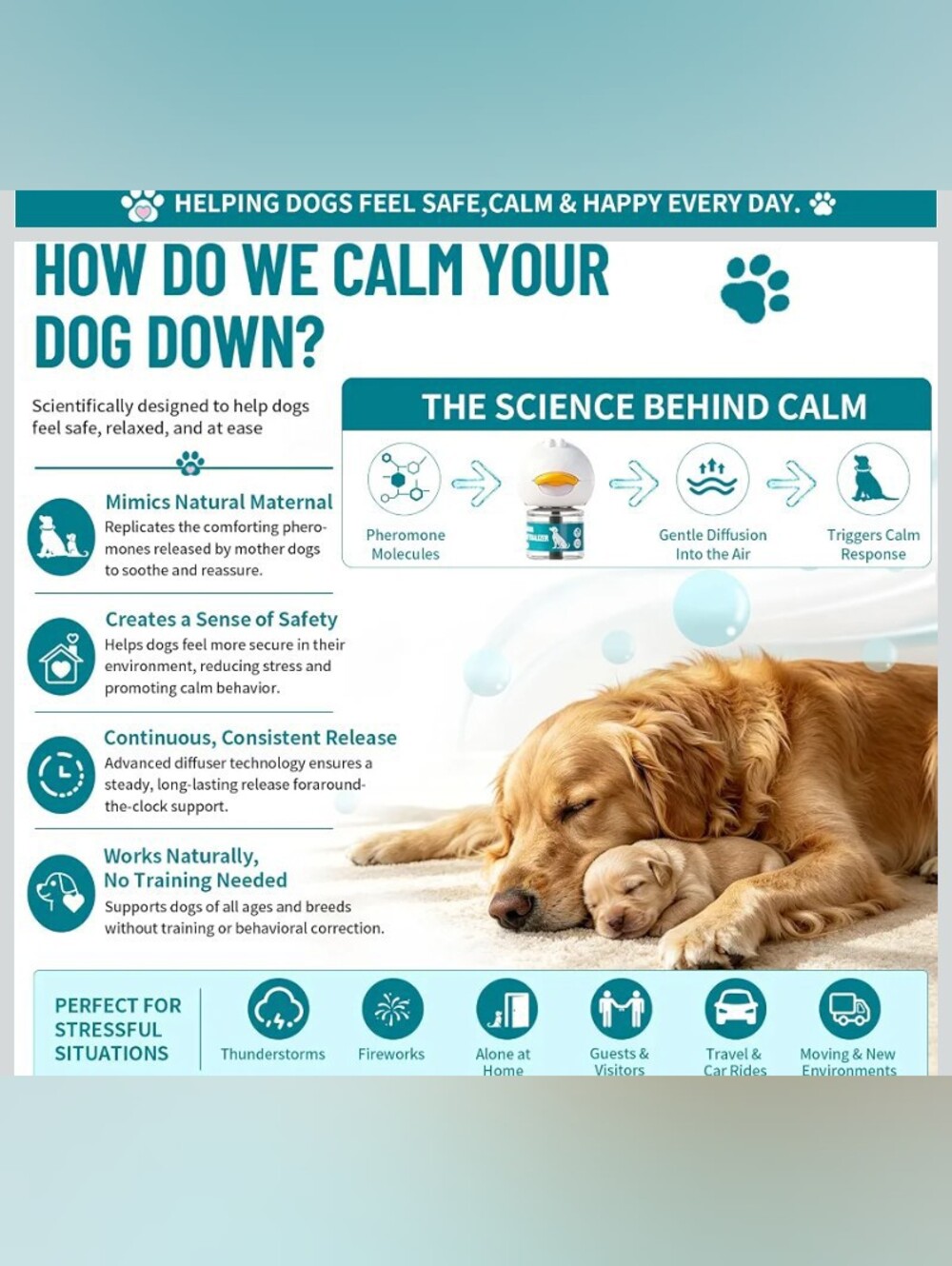 Advanced 🐶 Dog Calming Diffuser Kit - Picture 3 of 7